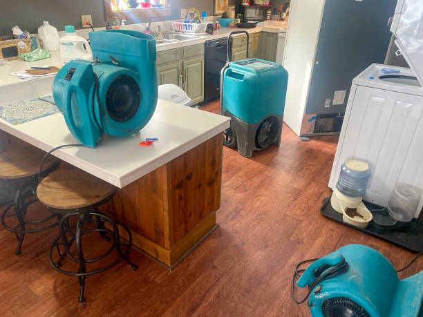 Trusted CO Water damage restoration Experts