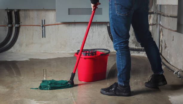 Best Sewage cleanup and water damage restoration  in Minturn, CO