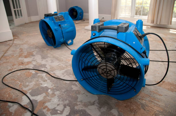 Best Water damage restoration near me  in Minturn, CO