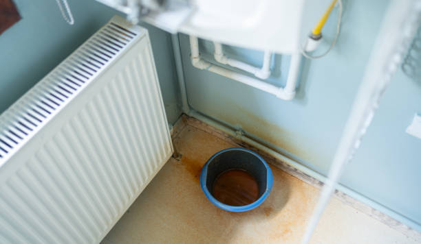 Best Water damage contractors near me  in Minturn, CO