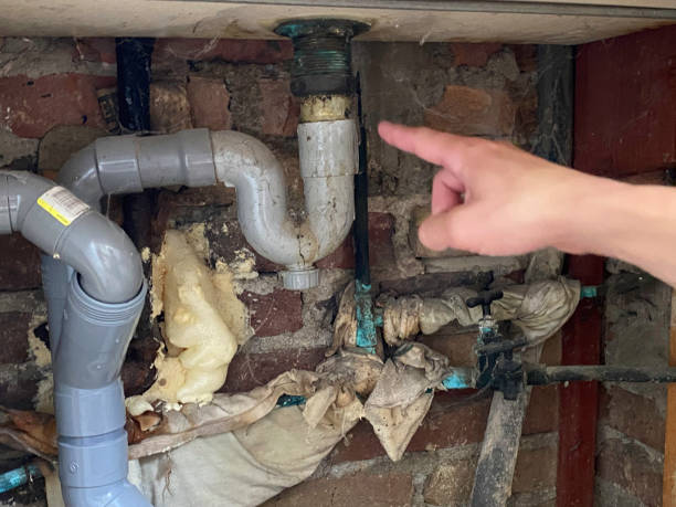 Best Water damage restoration cost  in Minturn, CO